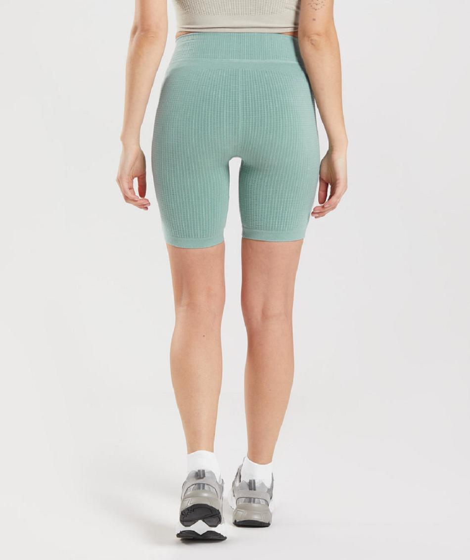 Pantalones Cortos Gymshark Pause Seamless Cycling Mujer Azules | CO 2715FDN